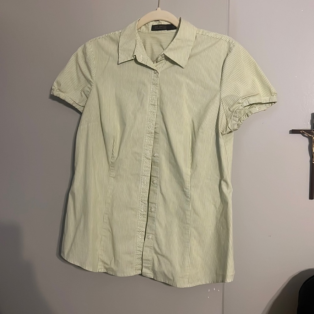 The Limited Green Striped Button Down